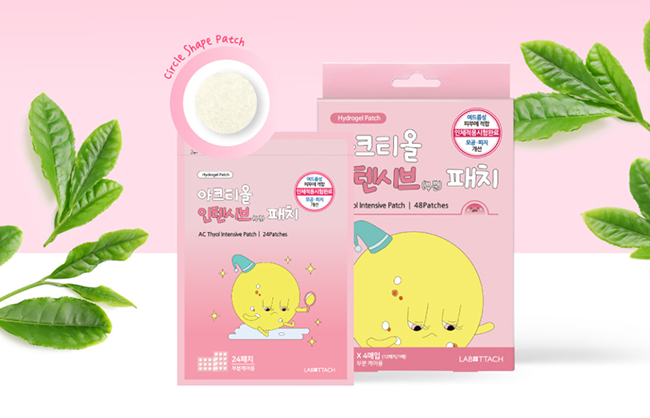 프로젝트 이미지